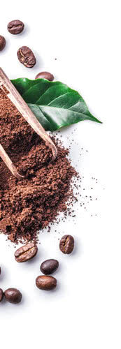 coffee-bean-griled coffee-bean-griled
